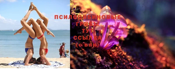гашик Шадринск